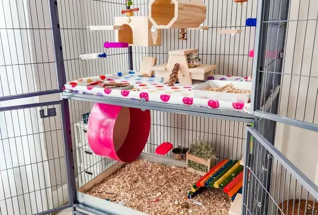 Maximizing Your Chinchilla’s Health and Happiness with the Perfect Cage Setup