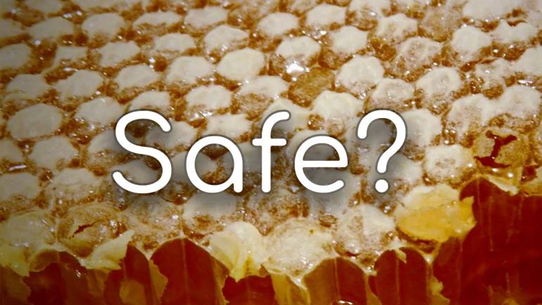Can Chinchillas Eat Honey? The Sticky Truth