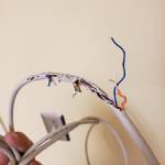chinchilla chew wires