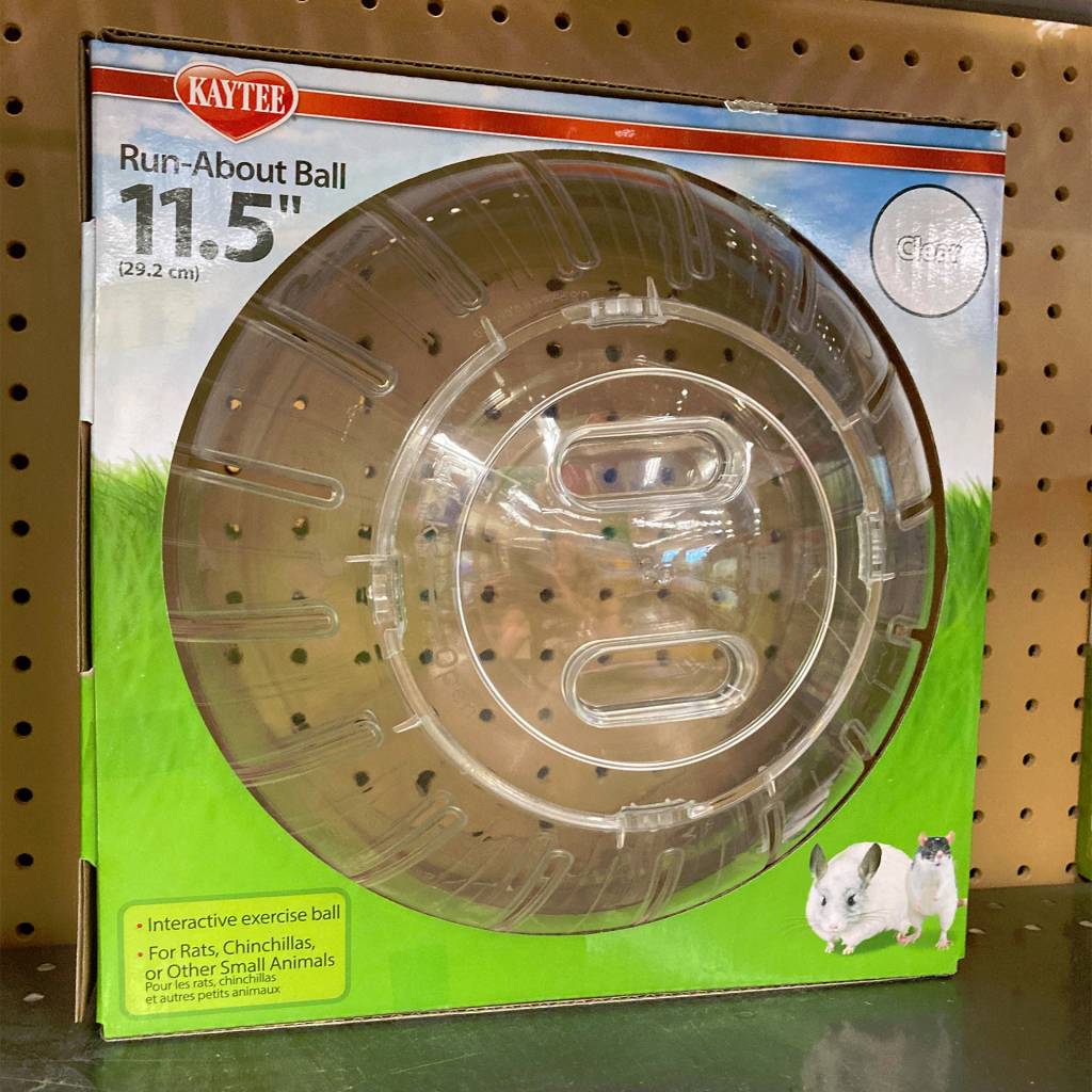 The Importance of Exercise and Environmental Stimulation for