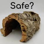 is cork chinchilla safe