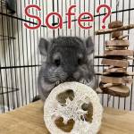 is loofah chinchilla safe