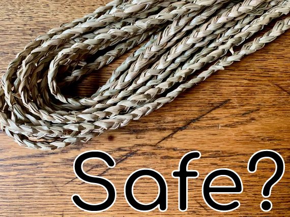 Understanding the Safety of Rope for Your Furry Friend
